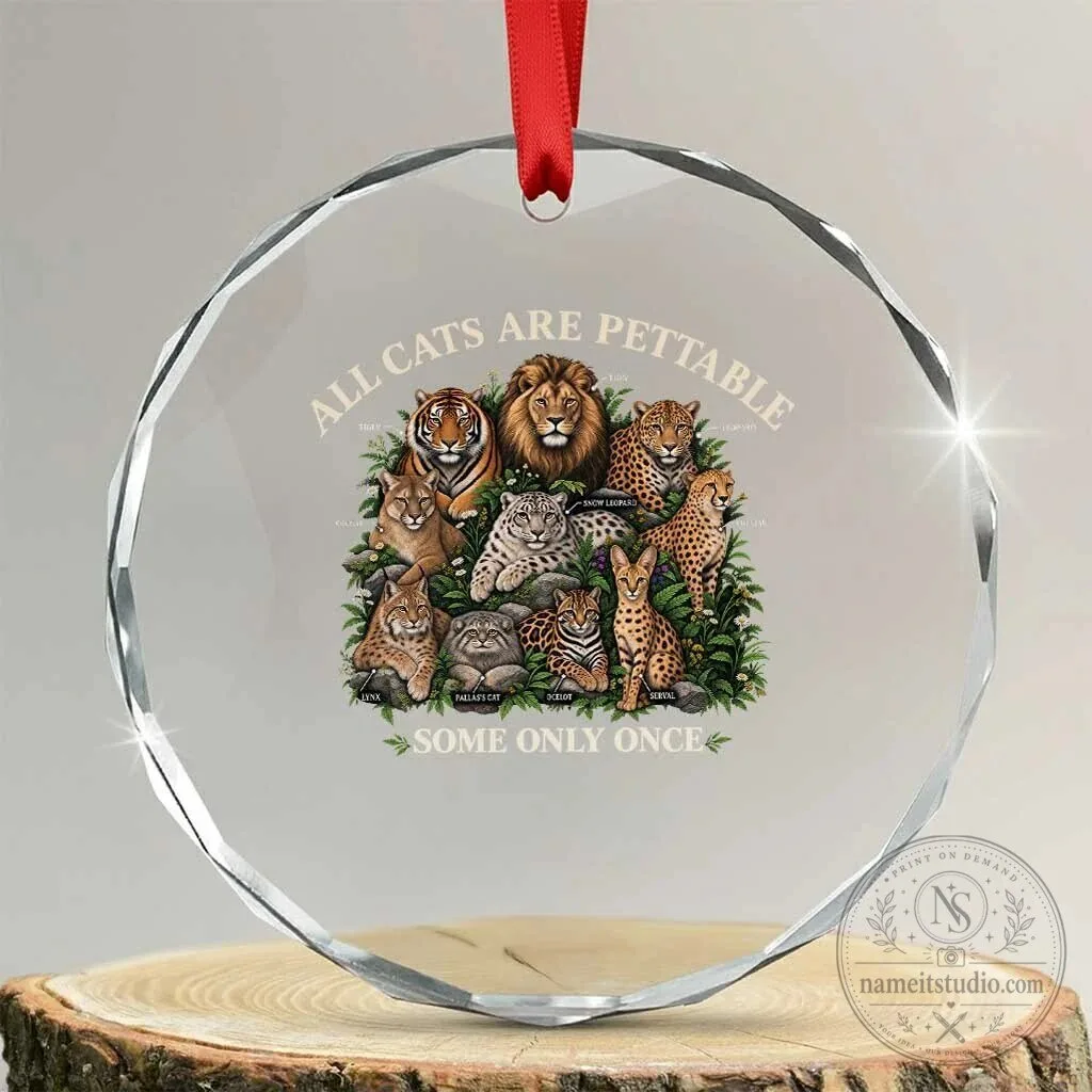 All Cats Are Pettable Some Only Once Wild Cats Infographic Funny Big Cat Lover Ornament 4 All Cats Are Pettable Some Only Once Wild Cats Infographic Funny Big Cat Lover Ornament